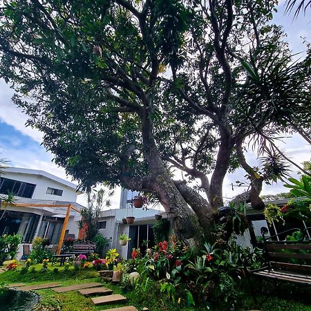 Casa Jardin del Mango Hotel San Jose  Bagian luar foto