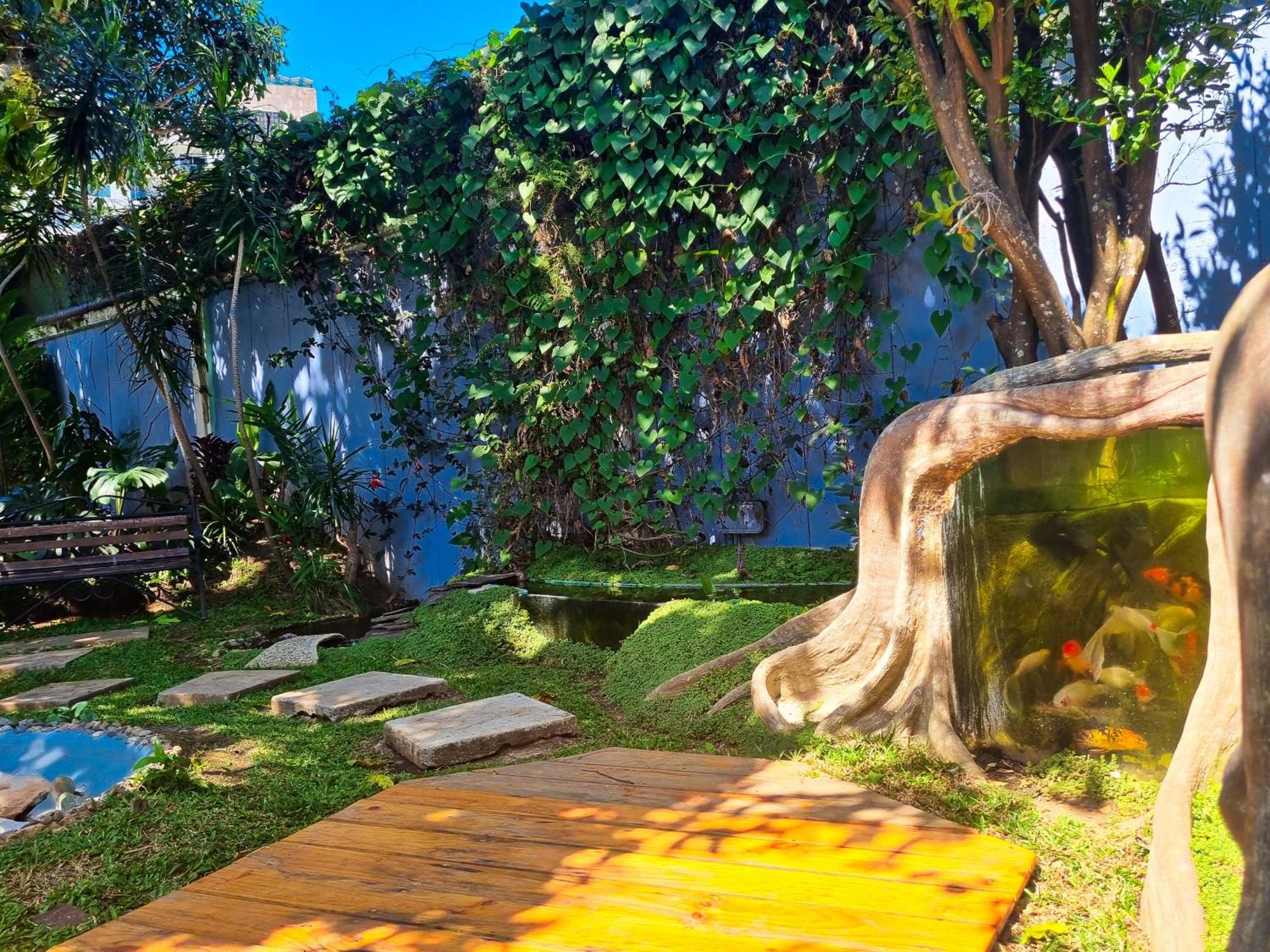 Casa Jardin del Mango Hotel San Jose  Bagian luar foto